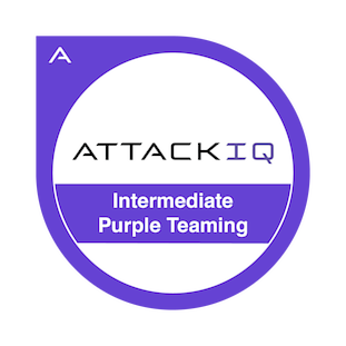 Intermediate Purple Teaming